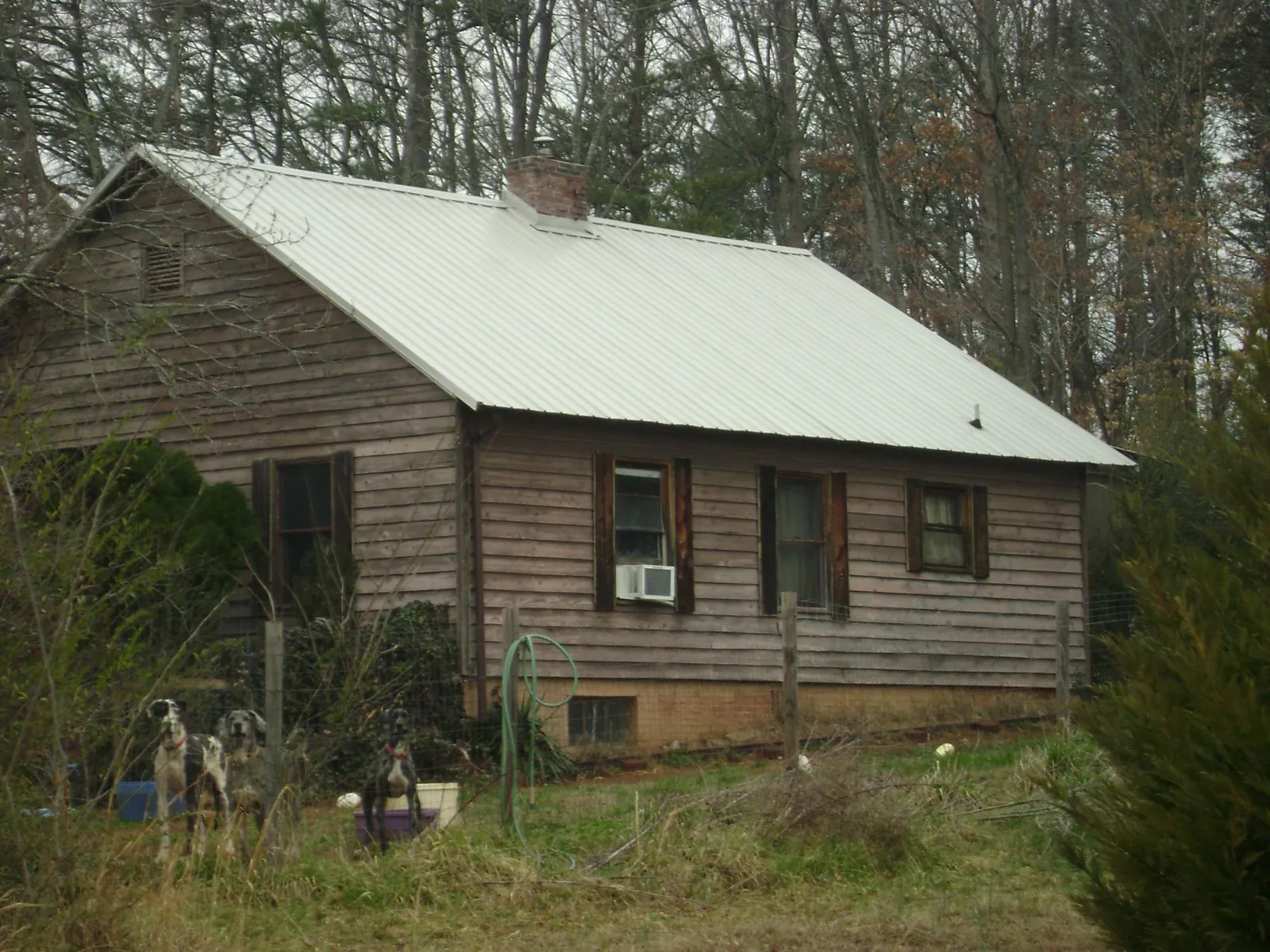 White metal roof on an old wood sided farmhouse, from a Asphalt Shingle Roof Repair job in Olanta